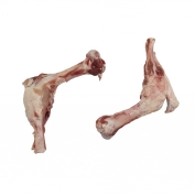 Femur bones Supplier and producer